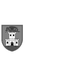 Logo 7
